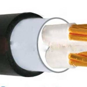 Cáp điện Cadivi CXV-2x120mm2, 0.6/1kV